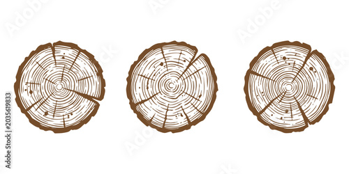 Bild auf Leinwand Three round wooden log cross sections with tree rings texture