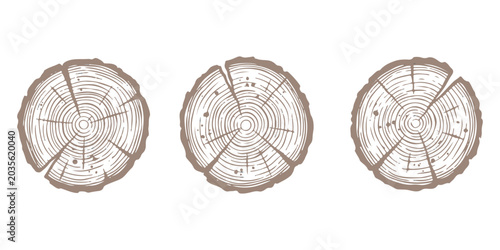 Tableau sur toile Three round tree log cross sections with wood grain rings and bark texture