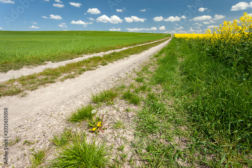 A long dirt road next to a growing field