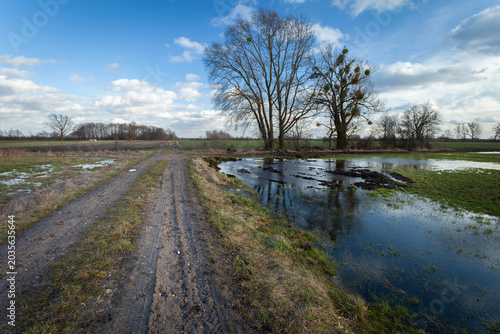 Country Road Through Meadow with Trees and Water