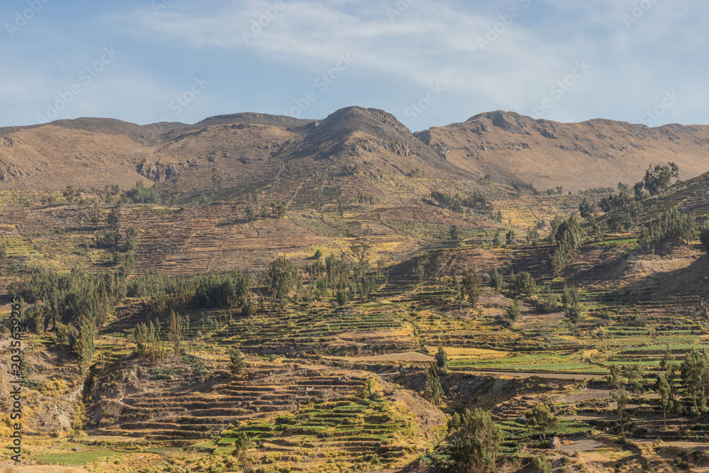 Obraz premium View of Colca valley, Peru