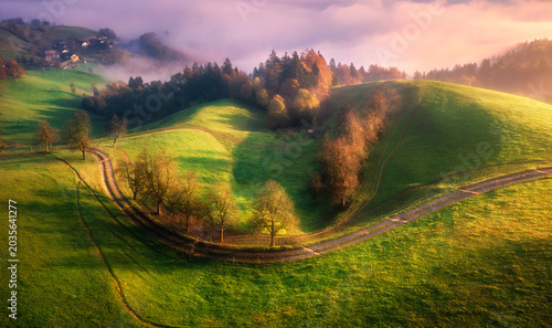 Obraz na płótnie Aerial view of trees on alpine meadow, mountains in pink low clouds at foggy sunrise in summer