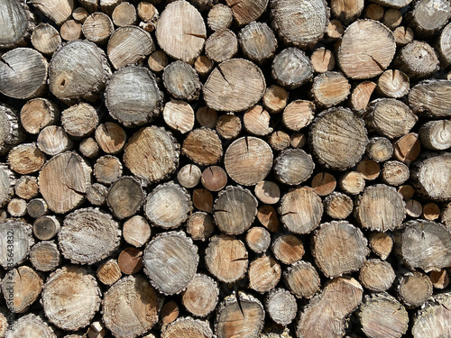 Stacked firewood logs as background front view close up