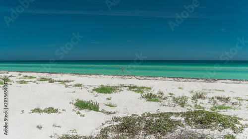 White sand dunes with sparse vegetation by turquoise ocean