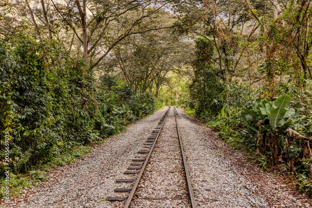 Fototapeta premium Railway tracks in Urubamba river valley near Machu Picchu, Peru