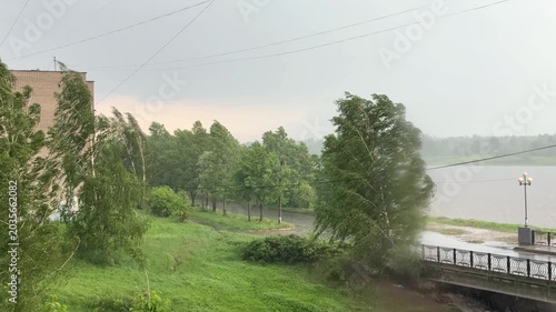 Heavy May rainstorm with strong wind bending trees near river