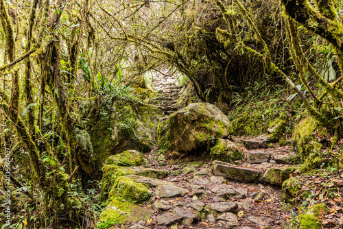 Fotografía Steps leading to Machu Picchu mountain, Peru