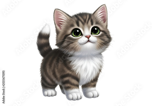 Cute Fluffy Tabby Kitten Standing and Looking Up on white background , Isolated on Transparent Background, PNG, Generative AI