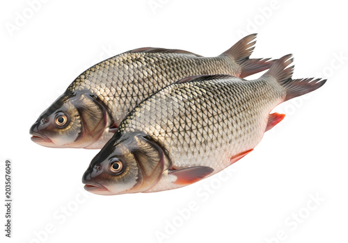 Two Fresh Raw Crucian Carp Fish Isolated on white background , Isolated on Transparent Background, PNG, Generative AI