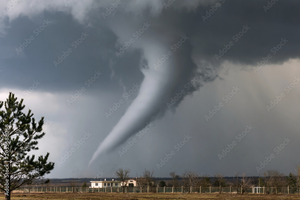 Fototapeta premium Powerful Tornado Engulfing Open Plains Under Dramatic Cloudy Skies, Evoking Awe and Respect for Nature's Fury