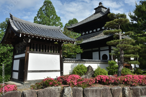 Foto 東福寺　サツキの頃の経蔵と殿鐘楼(京都市東山区)