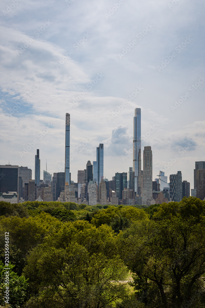 Fototapeta premium Central Park Canopy and Manhattan Skyline from the Metropolitan Museum