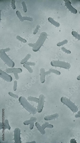 Microscopic view of infectious bacteria cells or bacterium. Ideal for projects related to microbiology, healthcare and science. Full HD and looping vertical medical background.