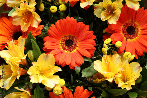 Fotografija Bouquet of orange gerberas and yellow alstroemeria flowers
