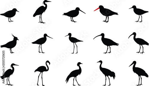 Foto Set of black silhouettes featuring various shorebirds, wading birds, and aquatic
