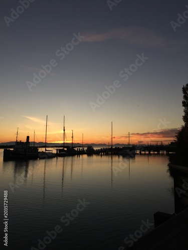 sunset in the harbor