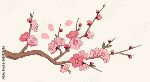 Pink Cherry Blossom Branch with Falling Petals