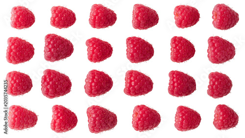 Cuadro en lienzo Isolated vibrant ripe red raspberries arranged in neat rows healthy sweet summer