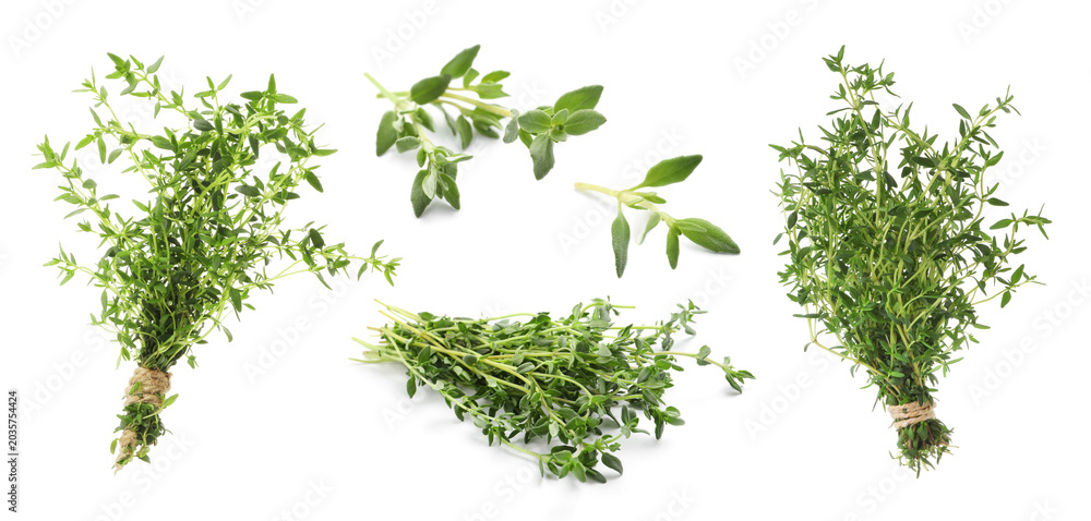 Fototapeta premium Fresh thyme isolated on white, set. Aromatic spice