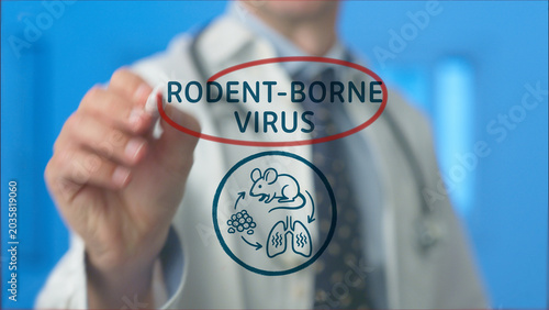 Doctor pointing at a transparent screen illustrating the cycle of rodent borne virus transmission impacting public health, showing a mouse, virus particles, and human lungs