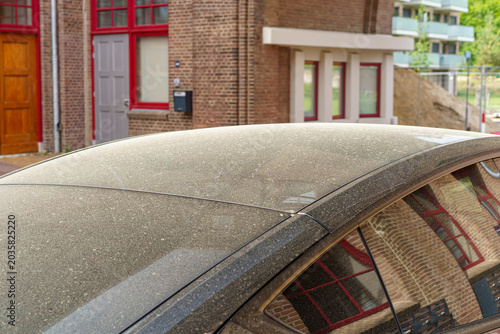 yellow pollen on the car bonnet