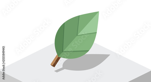 Green leaf illustration with stem.