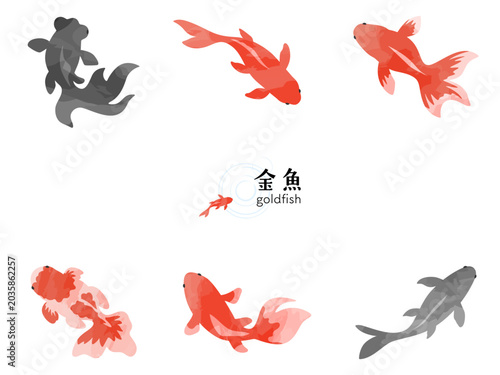 Tableau sur toile 和風デザインに使える様々な品種の金魚のイラスト素材セット。水彩風のタッチが涼しげな赤・黒・斑点模様の金魚のパーツ詰め合わせ。