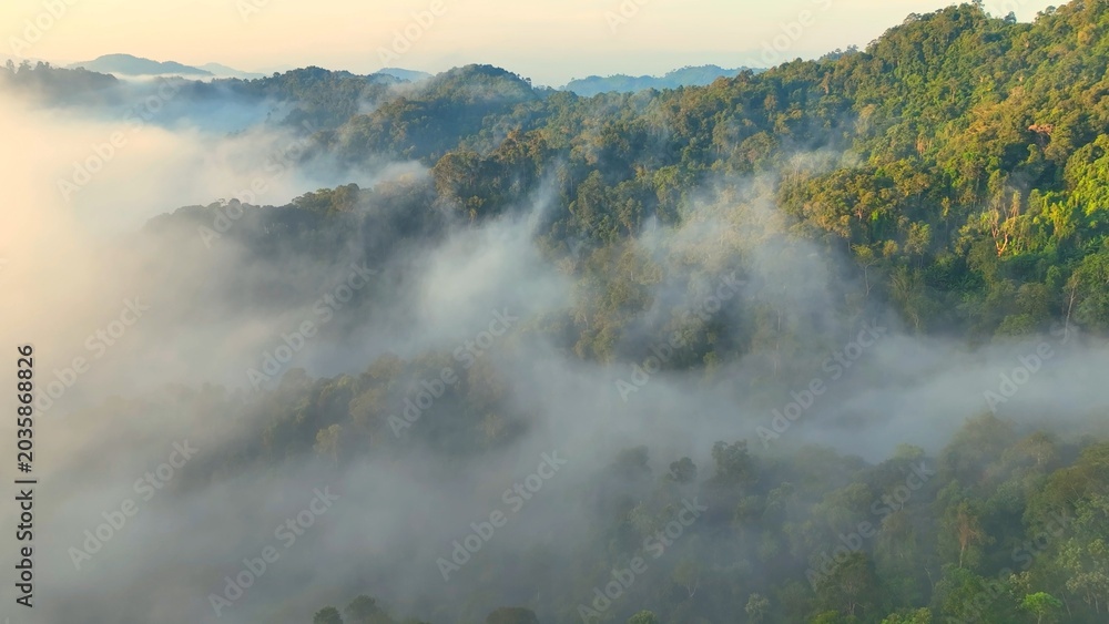Obraz premium A drone captures an aerial view of a tropical rainforest blanketed in morning mist, symbolizing carbon absorption, biodiversity, climate balance, oxygen production, and ecosystem resilience. Thailand.