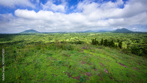 Obraz na plátně Horses were grazing on a small volcano where red scoria was commonly seen! Unique landscape of Mundoji-Oreum(small extinct volcano) in early autumn, Jeju Island, South Korea