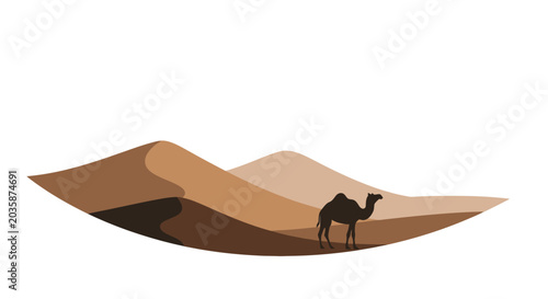Fotografie Camel standing on sand dune landscape.