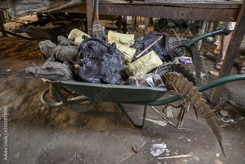 Bushmeat at a market, crocodile, monkey, poaching, Ouésso, Sangha department, Republic of Congo