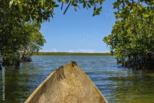 Mangroves on the island Ile Sainte-Marie although Nosy Boraha, Madagascar, Indian Ocean