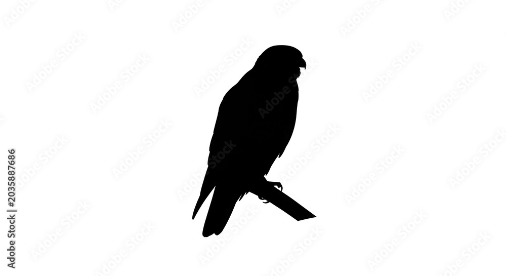 Fototapeta premium A bird silhouette perches on a branch in a natural setting.