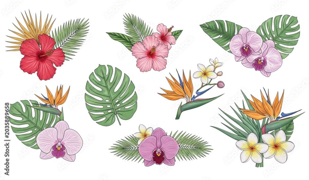 Fototapeta premium Exotic tropical floral vector illustration set style