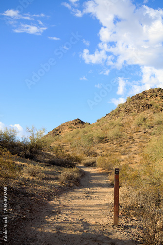 Obraz na plátně Closeup of trail marker 101 along a winding desert path in Phoenix North Mountai