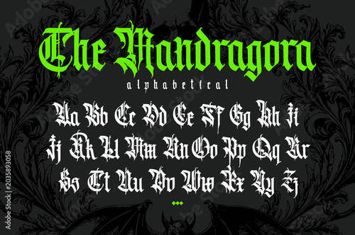 Modern Gothic, full English alphabet. Vector. Medieval uppercase and lowercase Latin letters. Signs and symbols for design. Ancient European style. Calligraphy and lettering. Numbers.