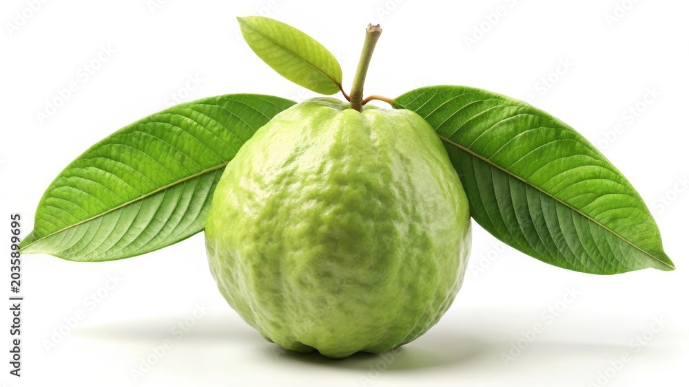 Fototapeta premium A guava with leave on white background