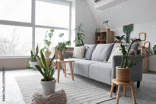 Interior of light living ro...