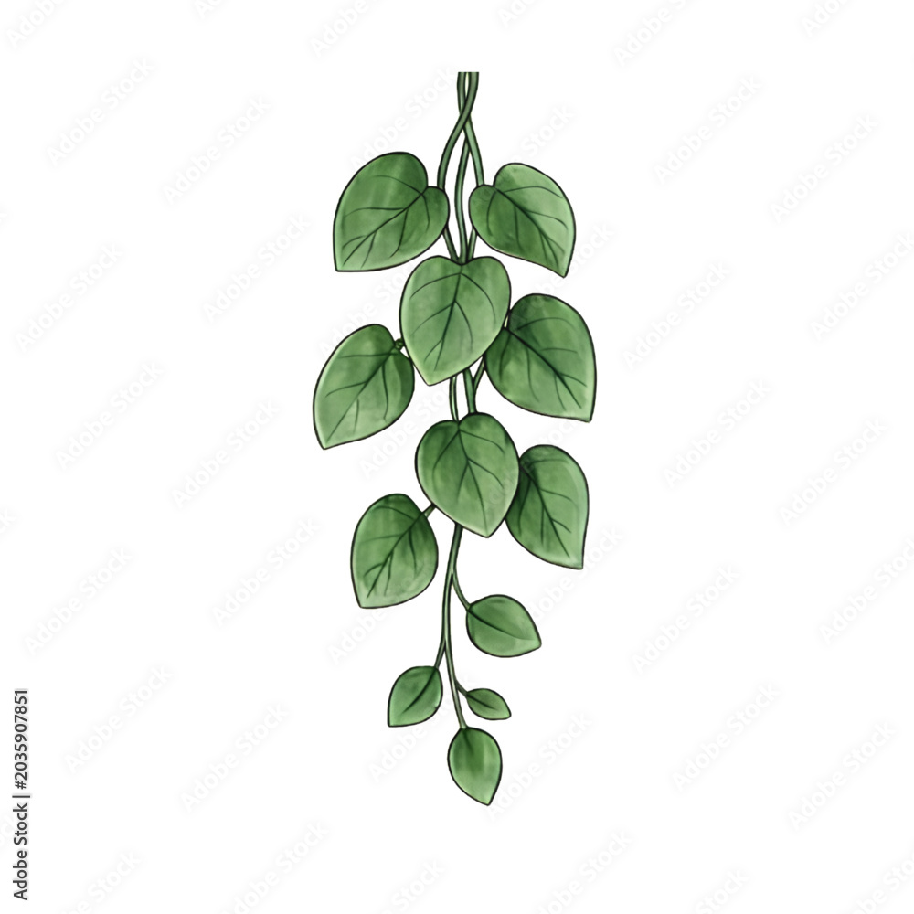 Fototapeta premium Lush Green Monstera Leaves Hanging in Minimalist Natural Elegance Illustration