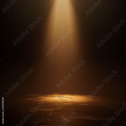 Luxury Spotlight on Dark Stage