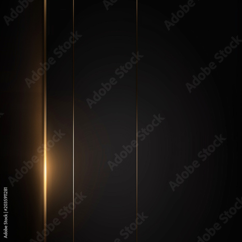 Luxury Black and Gold Background