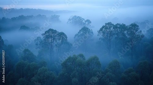 Serene Misty Blue Forest Landscape with Layered Fog and Distant Mountains