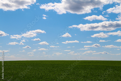 Obraz na plátně A wide open green field stretches beneath a bright blue sky filled with scattere