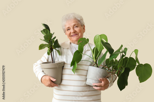 Senior gardener with plants on light background