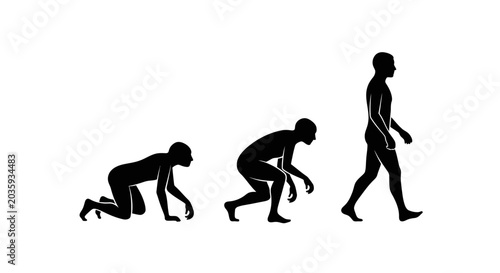 Photos Human evolution stages silhouette from ape to modern man.