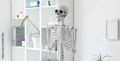 Human skeleton model in lig...
