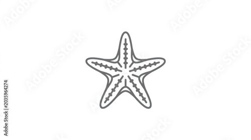 Bild auf Leinwand Simple Starfish Outline Icon on White Background - Marine Life Vector