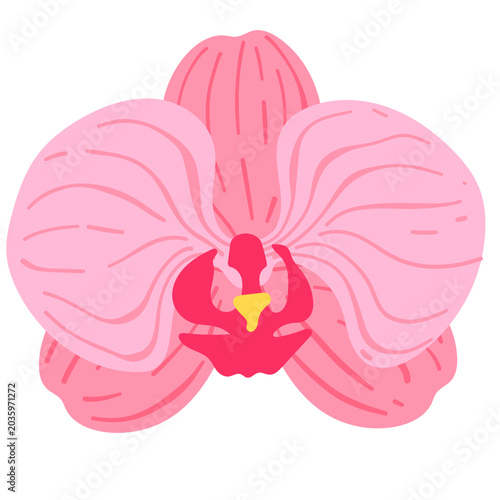 Pink Orchid Flower Illustration, Phalaenopsis Bloom, Tropical Floral Element, Botanical Clipart, Isolated Exotic Flower Vector