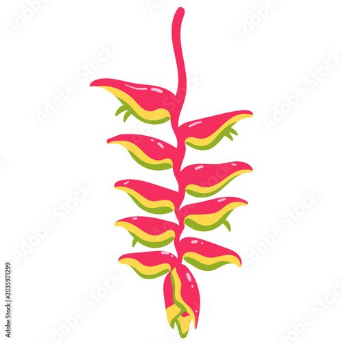 Heliconia Flower Illustration, Tropical Exotic Plant, Red Yellow Lobster Claw Bloom, Botanical Floral Element, Isolated Jungle Flower