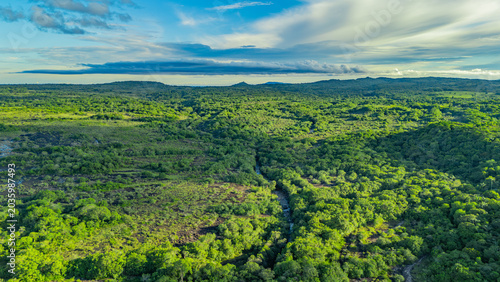 Vast greenery blankets the terrain, with a winding stream visible beneath a clear blue sky in Guaviare, Colombia.